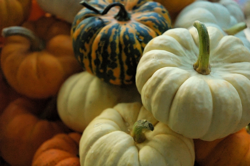 Blog header photo